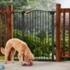 Frisco Outdoor Steel Arch Extra Tall Auto-Close Dog Gate 1 Frisco Outdoor Steel Arch Extra Tall Auto-Close Dog Gate -Frisco 507102 MAIN. AC SS1800 V1668736255