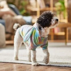 Frisco Wash Effect Bunny Ear Hoodie 18 Frisco Wash Effect Bunny Ear Hoodie -Frisco 521374 PT7. AC SS1800 V1699653757