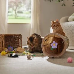 Frisco Spring Plush, Teaser, Ball & Tunnel Variety Pack Cat Toy With Catnip, 10 Count -Frisco 541590 PT3. AC SS1800 V1671814448