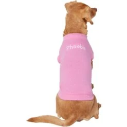 Frisco Personalized Basic Dog & Cat T-Shirt 11 Frisco Personalized Basic Dog & Cat T-Shirt -Frisco 557438 PT2. AC SS1800 V1662738086