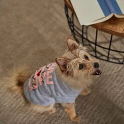 Frisco I Love Daddy Heart Dog & Cat T-Shirt -Frisco 608262 PT7. AC SS1800 V1676585954