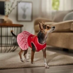 Frisco Time To Shine Dog & Cat Dress -Frisco 608638 PT7. AC SS1800 V1676643324