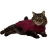 Frisco Cozy Textured Chenille Dog & Cat Sweater -Frisco 718614 MAIN. AC SS1800 V1692380456