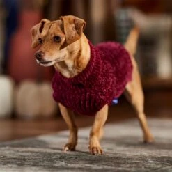 Frisco Cozy Textured Chenille Dog & Cat Sweater -Frisco 718614 PT7. AC SS1800 V1692378337