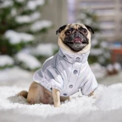 Frisco Heavy Weight Iridescent Quilted Dog & Cat Hooded Puffer Coat 18 Frisco Heavy Weight Iridescent Quilted Dog & Cat Hooded Puffer Coat -Frisco 720038 PT7. AC SS1800 V1692377880