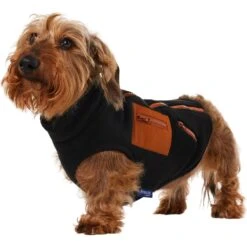 Frisco Light Weight Leopard Print Lined Fleece Dog & Cat Vest -Frisco 720694 PT2. AC SS1800 V1703194382