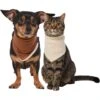 Frisco Reversible Cozy Knit Faux Fur Dog & Cat Pullover Bandana -Frisco 733918 MAIN. AC SS1800 V1692380241