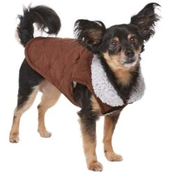 Frisco Medium Weight Quilted Dog & Cat Coat With Cozy Sherpa Lining -Frisco 744310 PT2. AC SS1800 V1703194386