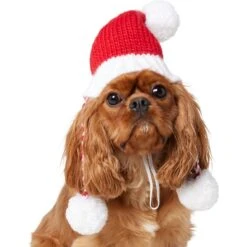 Frisco Chunky Knit Santa Dog & Cat Hat -Frisco 744878 PT2. AC SS1800 V1694812755