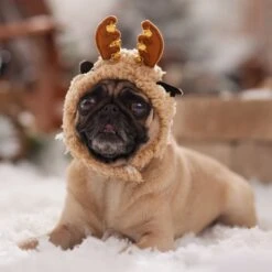 Frisco Sherpa Reindeer Dog & Cat Hat With Bells 14 Frisco Sherpa Reindeer Dog & Cat Hat With Bells -Frisco 745646 PT5. AC SS1800 V1694795597