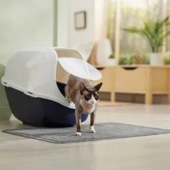 Frisco High Sided Cat Litter Box, Extra Large & Frisco Rectangular Cat Litter Mat 19 Frisco High Sided Cat Litter Box, Extra Large & Frisco Rectangular Cat Litter Mat -Frisco 933398 PT8. AC SS1800 V1692303236