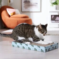 Frisco Double-Wide Cat Scratcher Toy With Catnip & Frisco Double-Wide Cat Scratcher Toy Refill With Catnip, 2 Count -Frisco 962110 PT3. AC SS1800 V1694782923