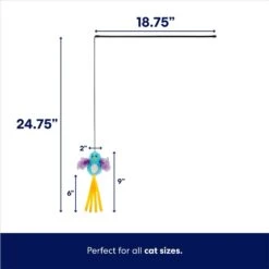 Frisco Colorful Springs Cat Toy & Frisco Bird With Feathers Teaser Wand Cat Toy With Catnip -Frisco 962126 PT6. AC SS1800 V1694782921
