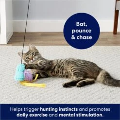 Frisco Colorful Springs Cat Toy & Frisco Bird With Feathers Teaser Wand Cat Toy With Catnip -Frisco 962126 PT8. AC SS1800 V1694782921